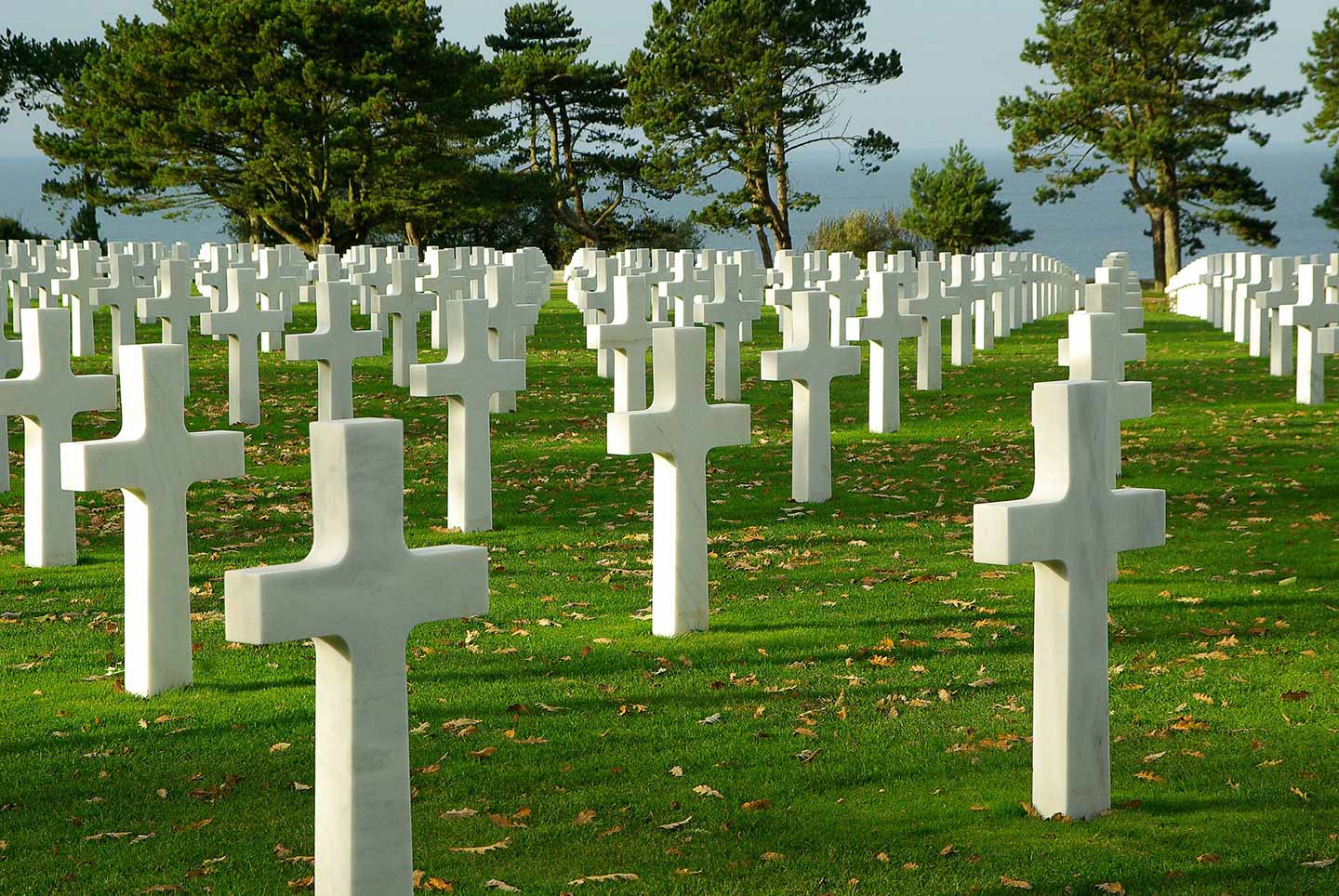 Serene view of white crosses at Normandy D-Day Cemetery in Omaha Beach, France, symbolizing military history and sacrifice.