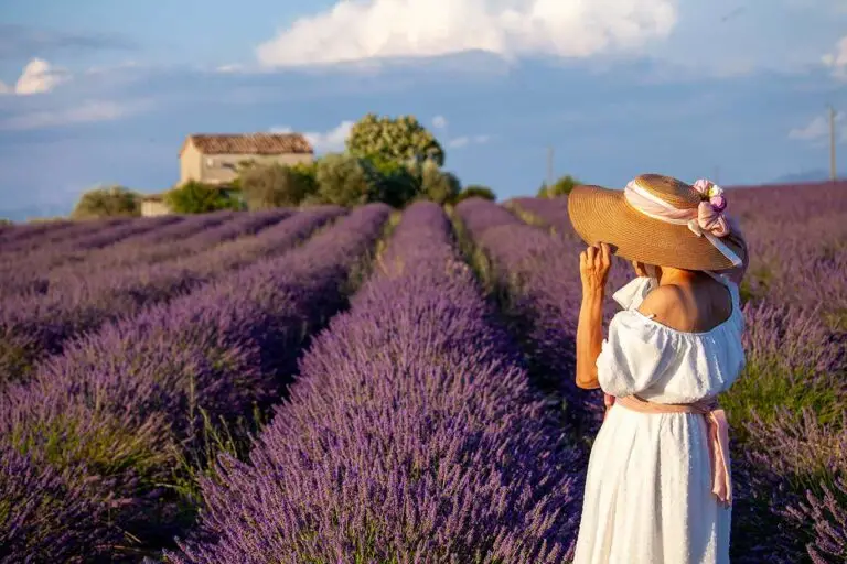 woman standing amongst field of lavendar in France.