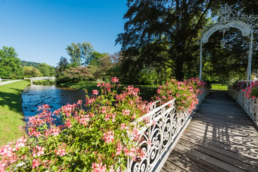 Decorative iron bridge adorned with vibrant pink flowers over a tranquil river at Lichtentaler Allee, Baden-Baden, showcasing a picturesque and romantic scene in Germany.