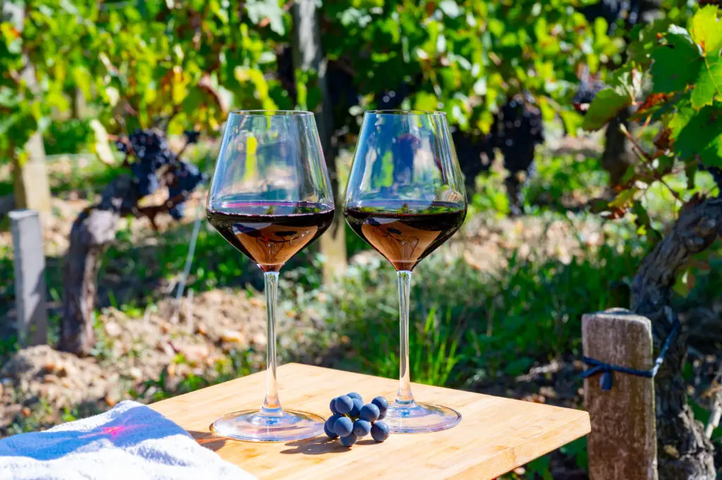 Two glasses of red Bordeaux wine with Merlot grapes on a wooden table overlooking vineyards in Saint-Emilion, France.