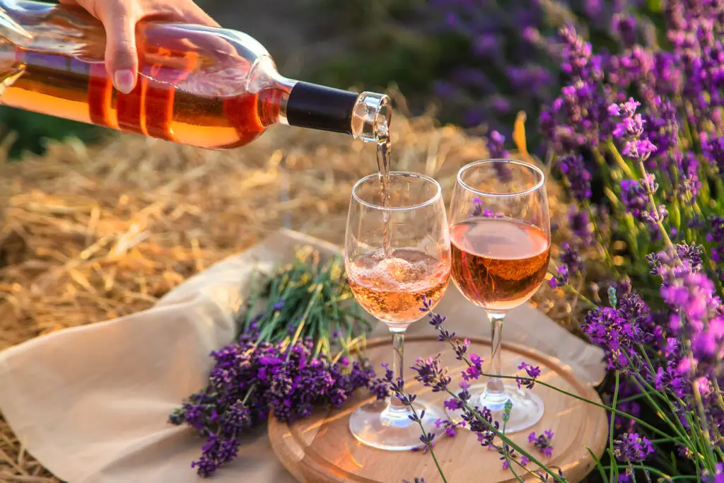 Woman pouring rosé wine into glasses at a scenic picnic in a lavender field in France, with selective focus on the wine pouring.