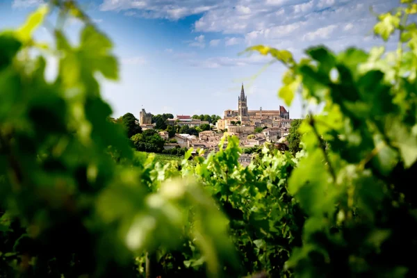 Scenic view of Saint Emilion village in Gironde framed by lush vine leaves under a bright blue sky, showcasing historic architecture and greenery in France's wine country.