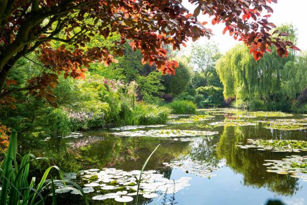 Claude Monet’s Home and Gardens tour with guide